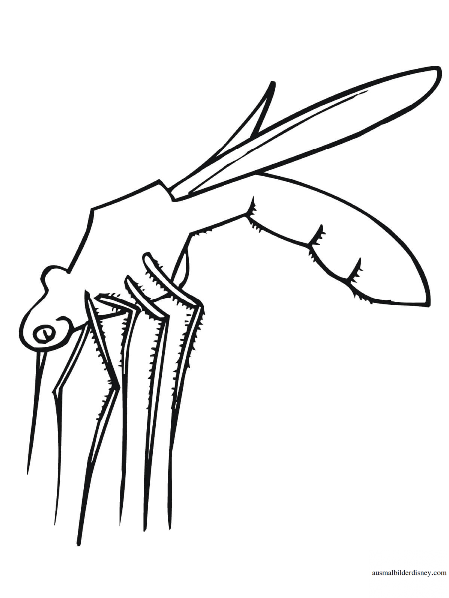 Комар раскраска для детей