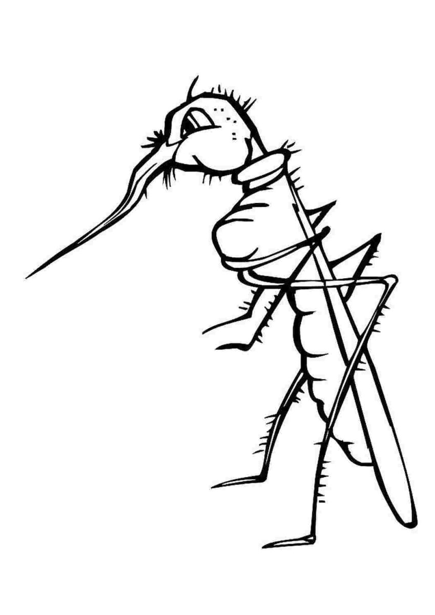 Комар раскраска для детей