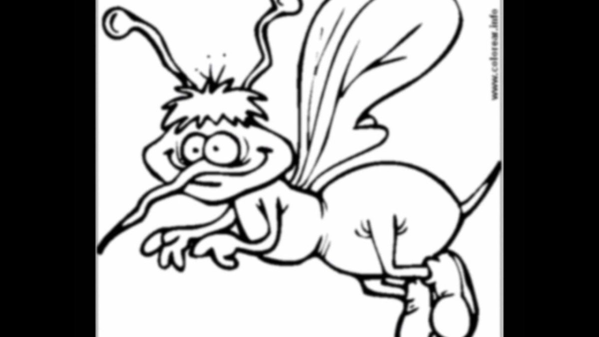 Веселый комар раскраска