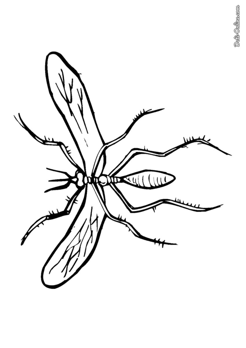 Комарик раскраска для детей