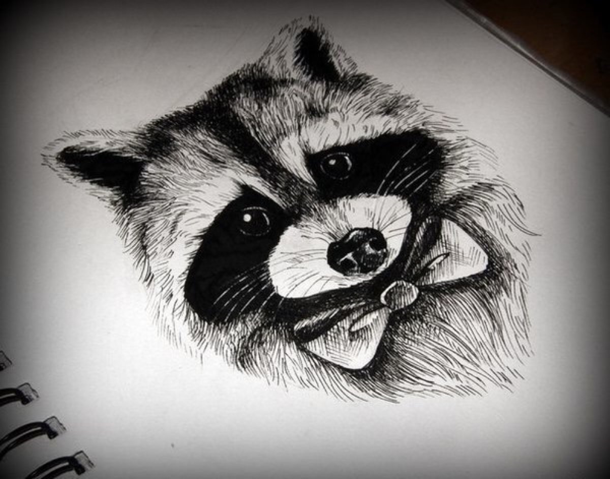 Эскизы тату Енотик