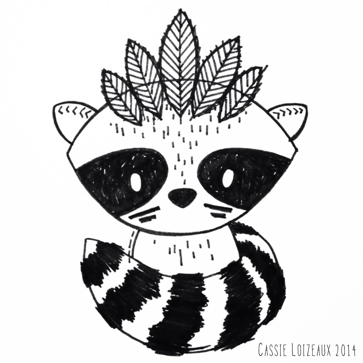 Енот схематично