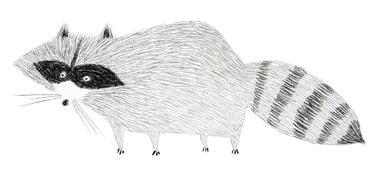 Рисунки штрихами животные