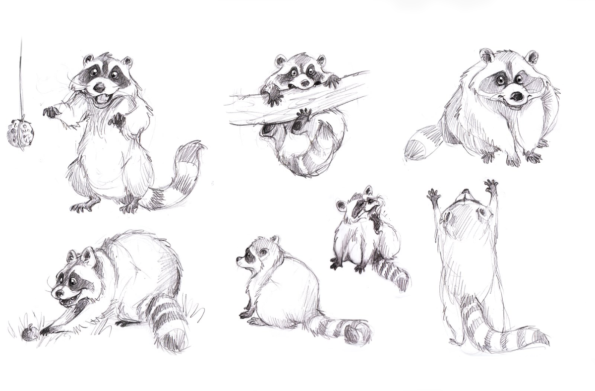 Енот акварельными карандашами