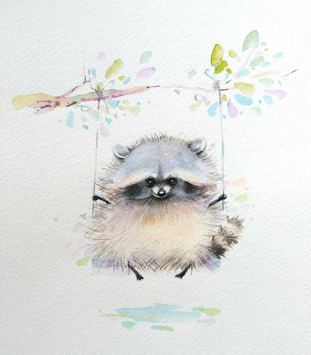 Енот в разных позах