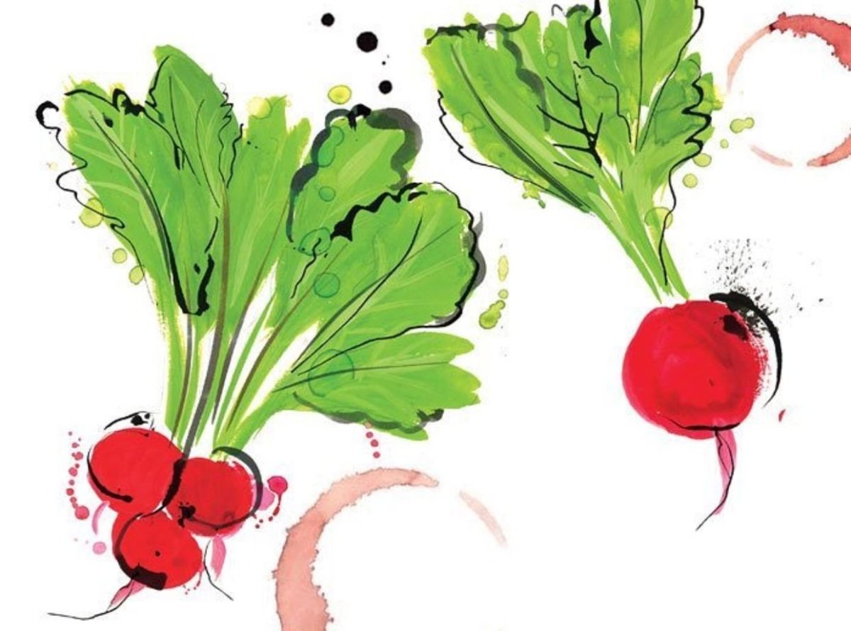 Смешная редиска