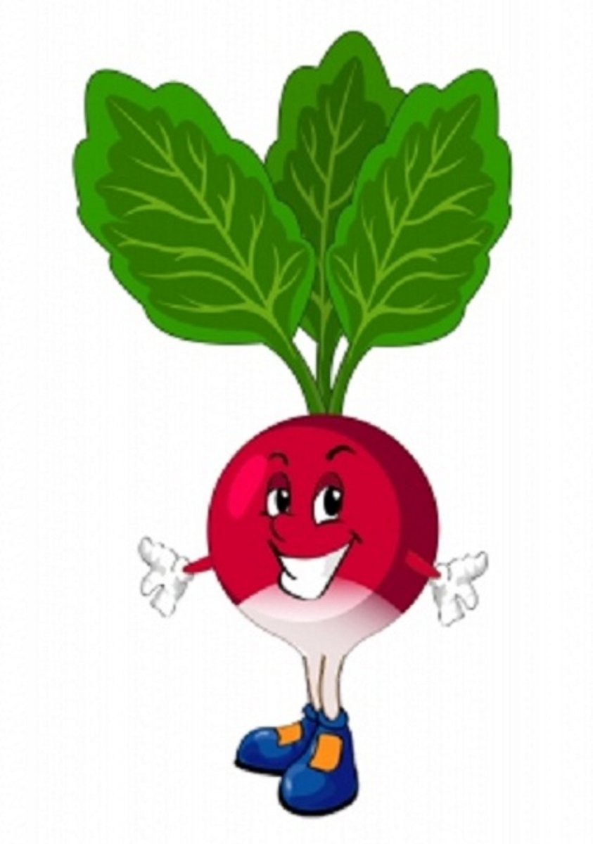 Редиска раскраска для детей 2-3 лет