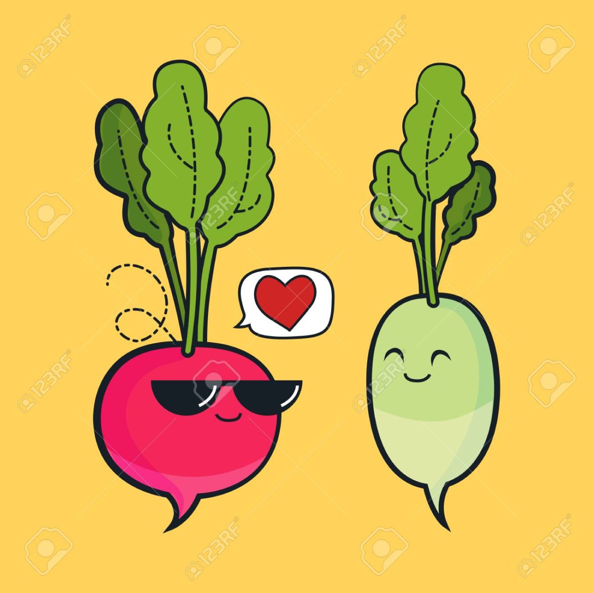 Редис в разрезе на белом фоне