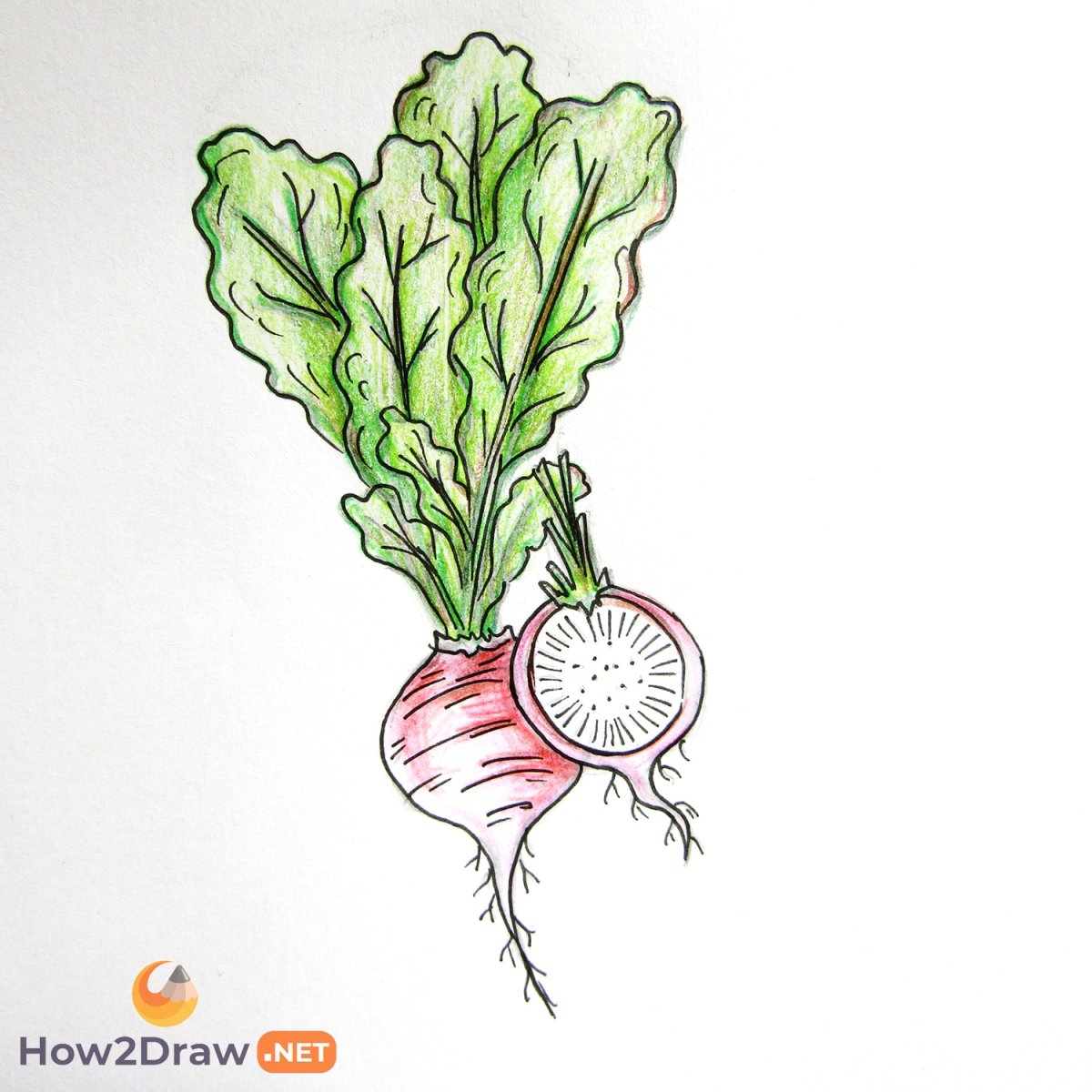 Аппликация редиска для детей