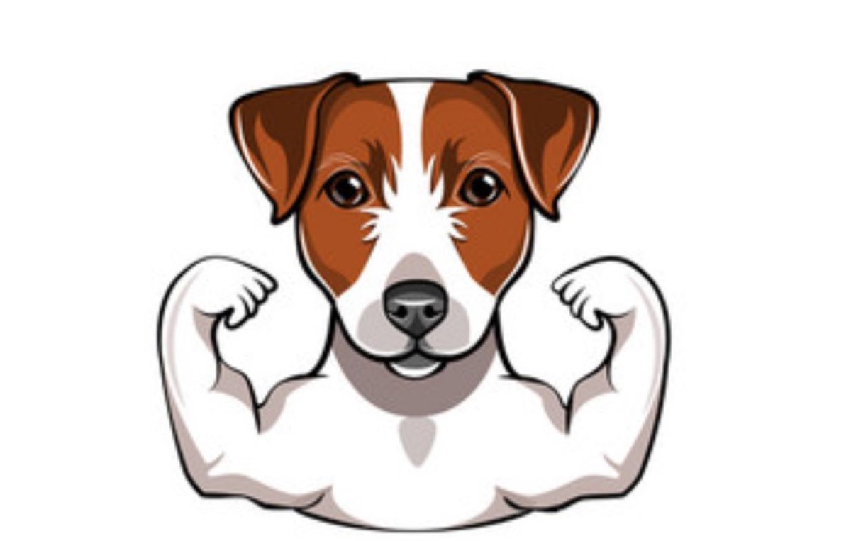 Джек Рассел картинка нарисованная