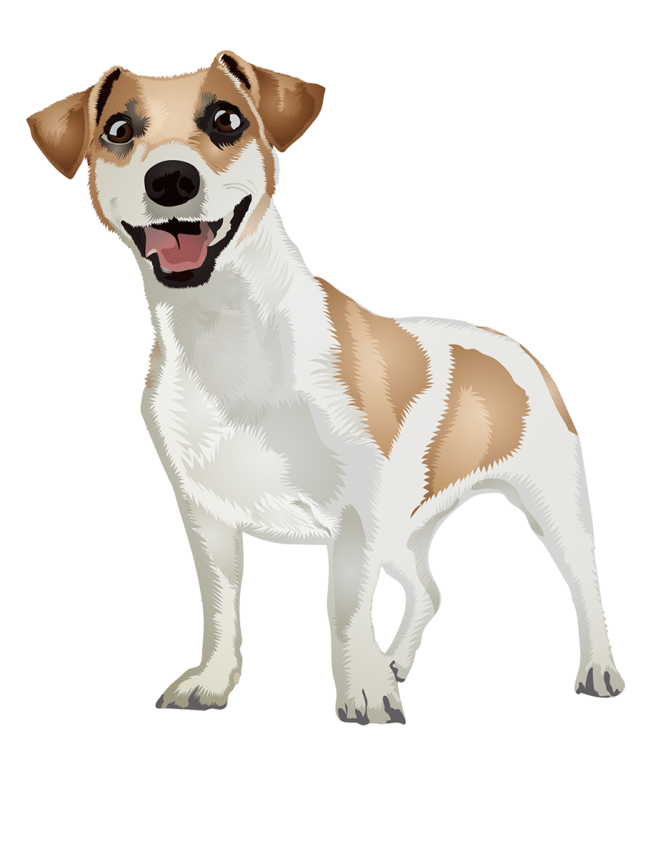 Джек Рассел