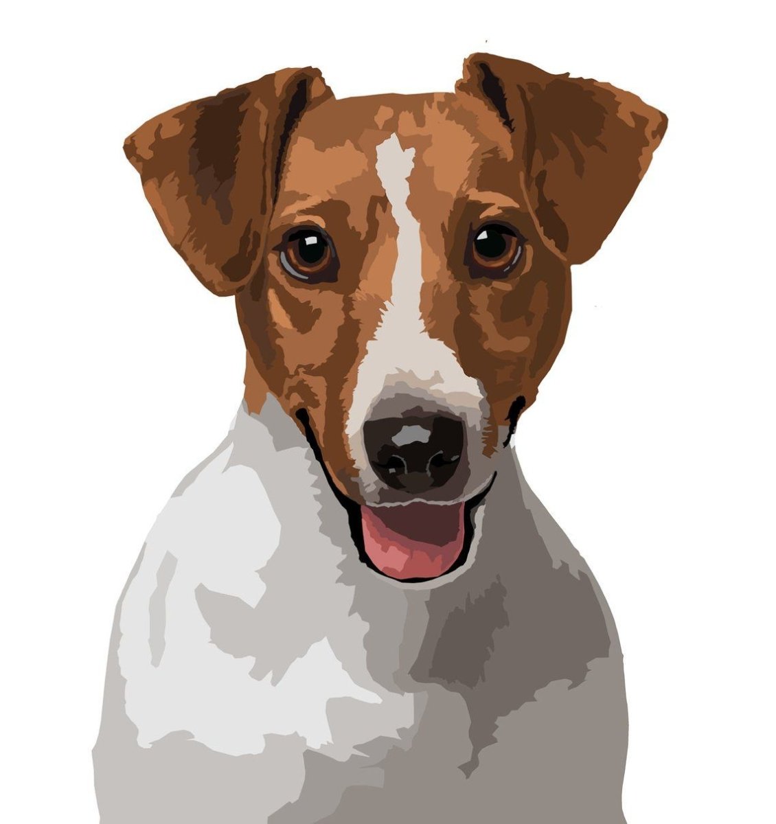 Джек Рассел терьер рисунок