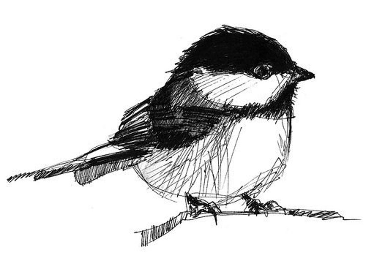 Схема вышивки синички