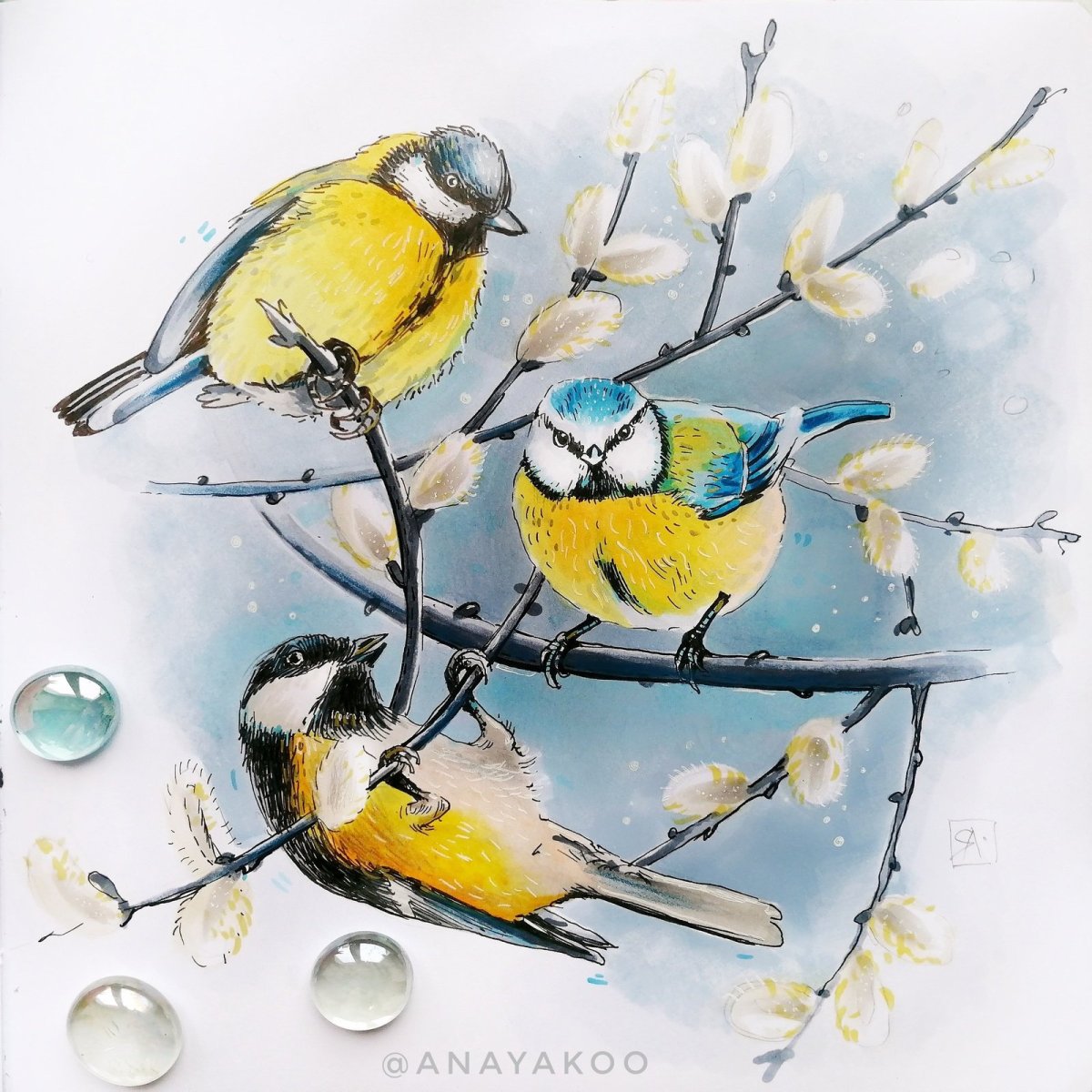 Синичка акварелью