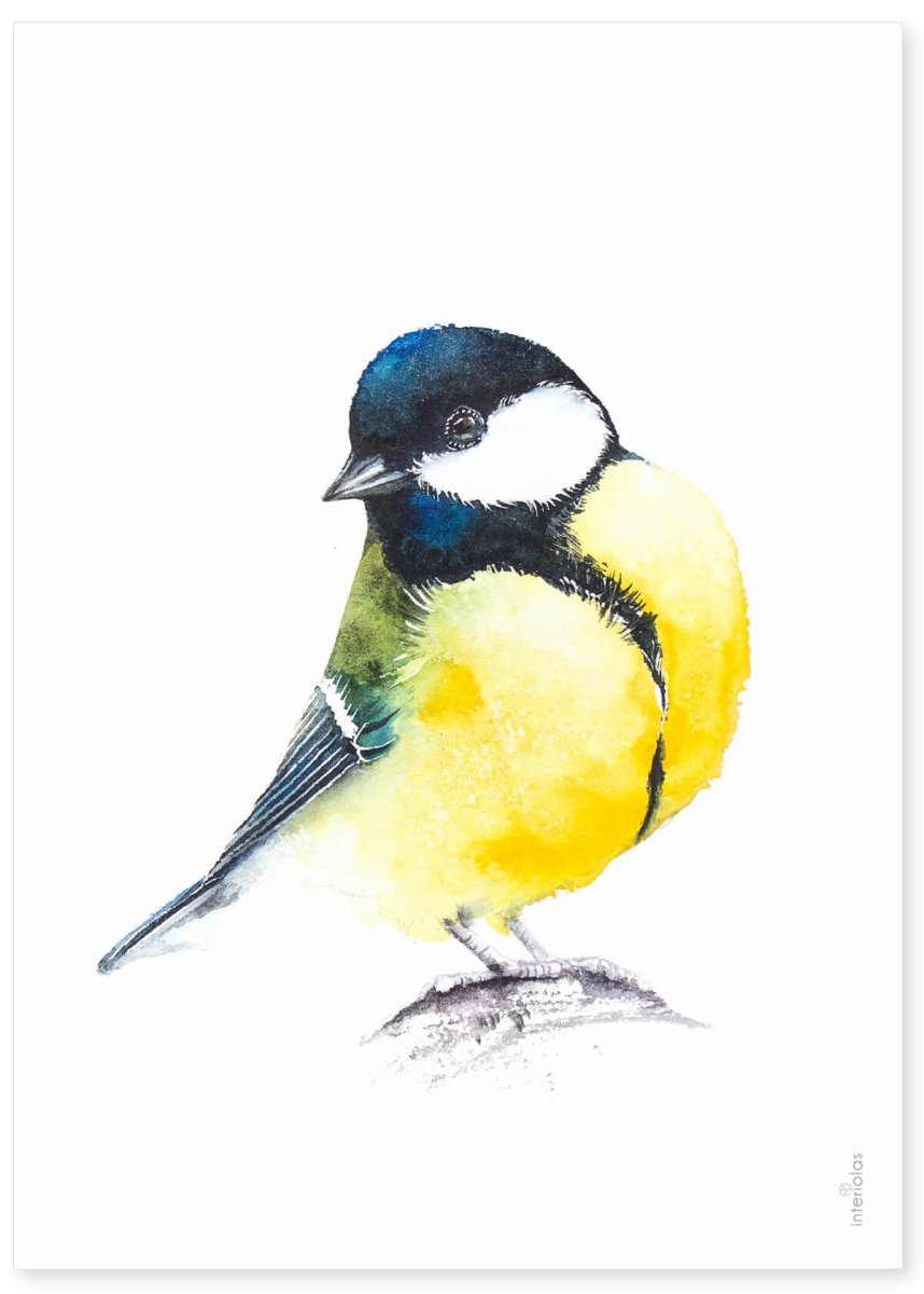 Синица акварелью