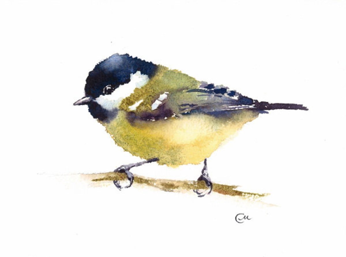 Две синички на белом фоне акварель