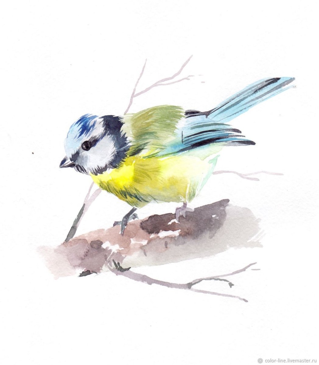 Синичка на ветке