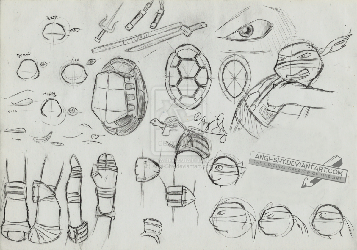 Анатомия черепашек ниндзя 2012 референс