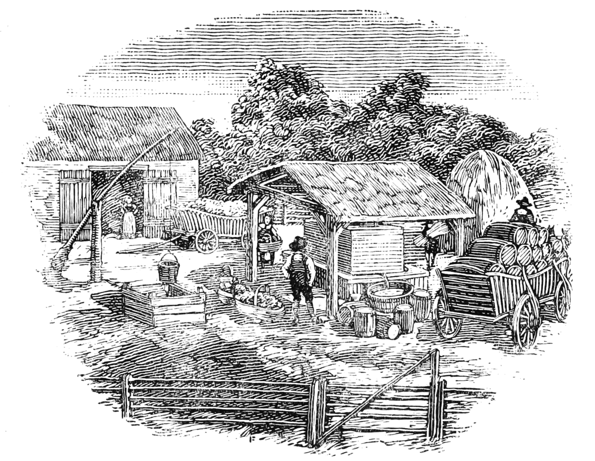 Charles Dickens большие надежды