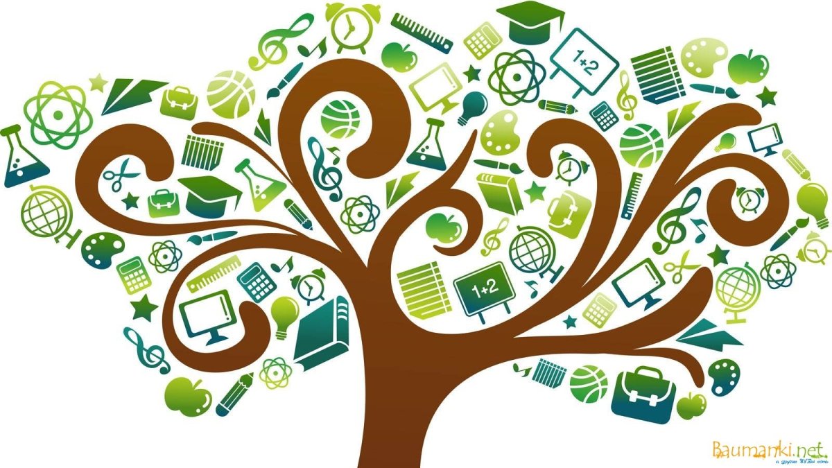 Дерево знаний карандаш