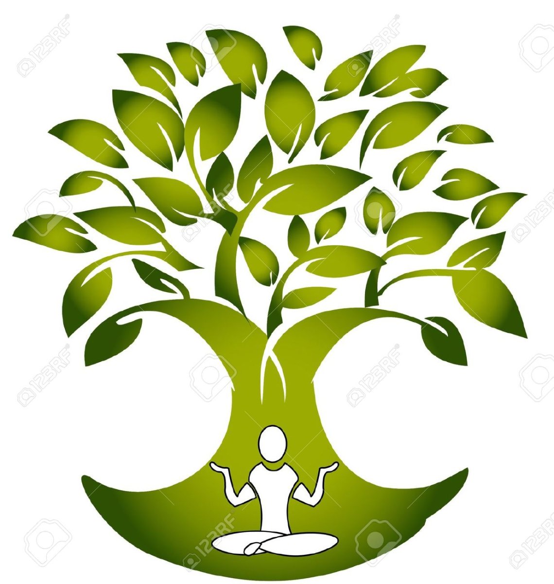 Древо знаний из книги