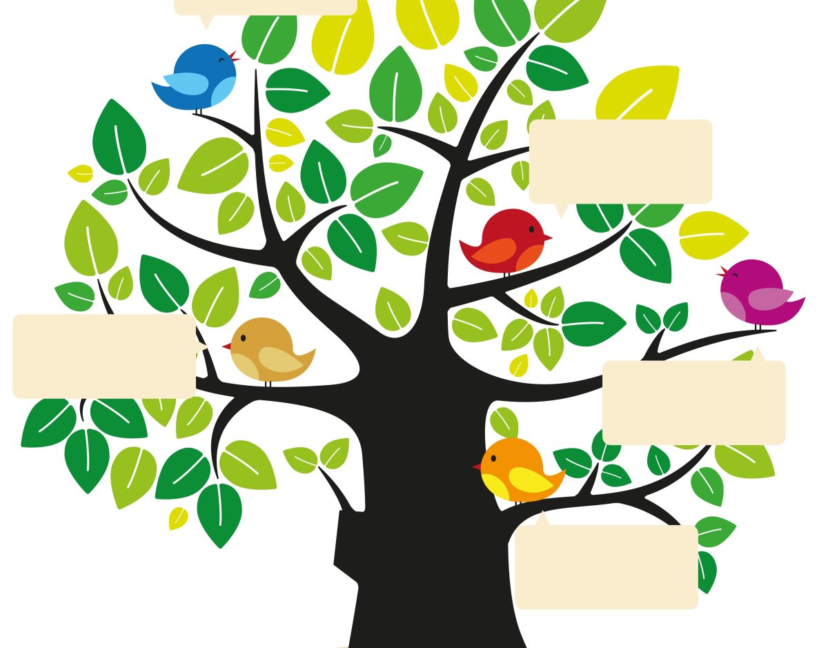 Книжное дерево