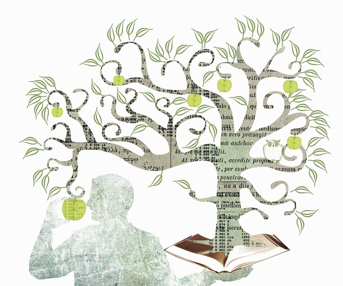 Дерево знаний