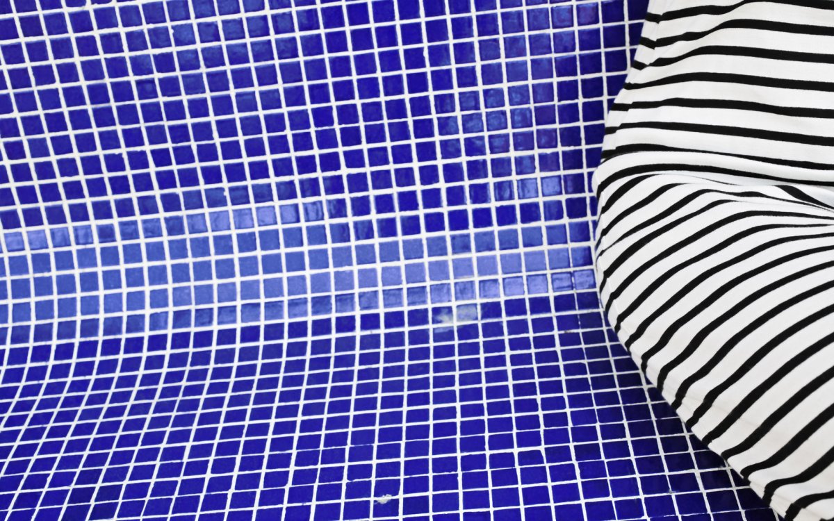 Зебра в клеточку