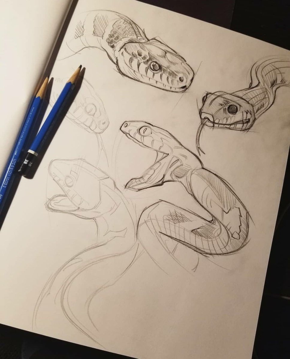 Эскизы змеи мужские