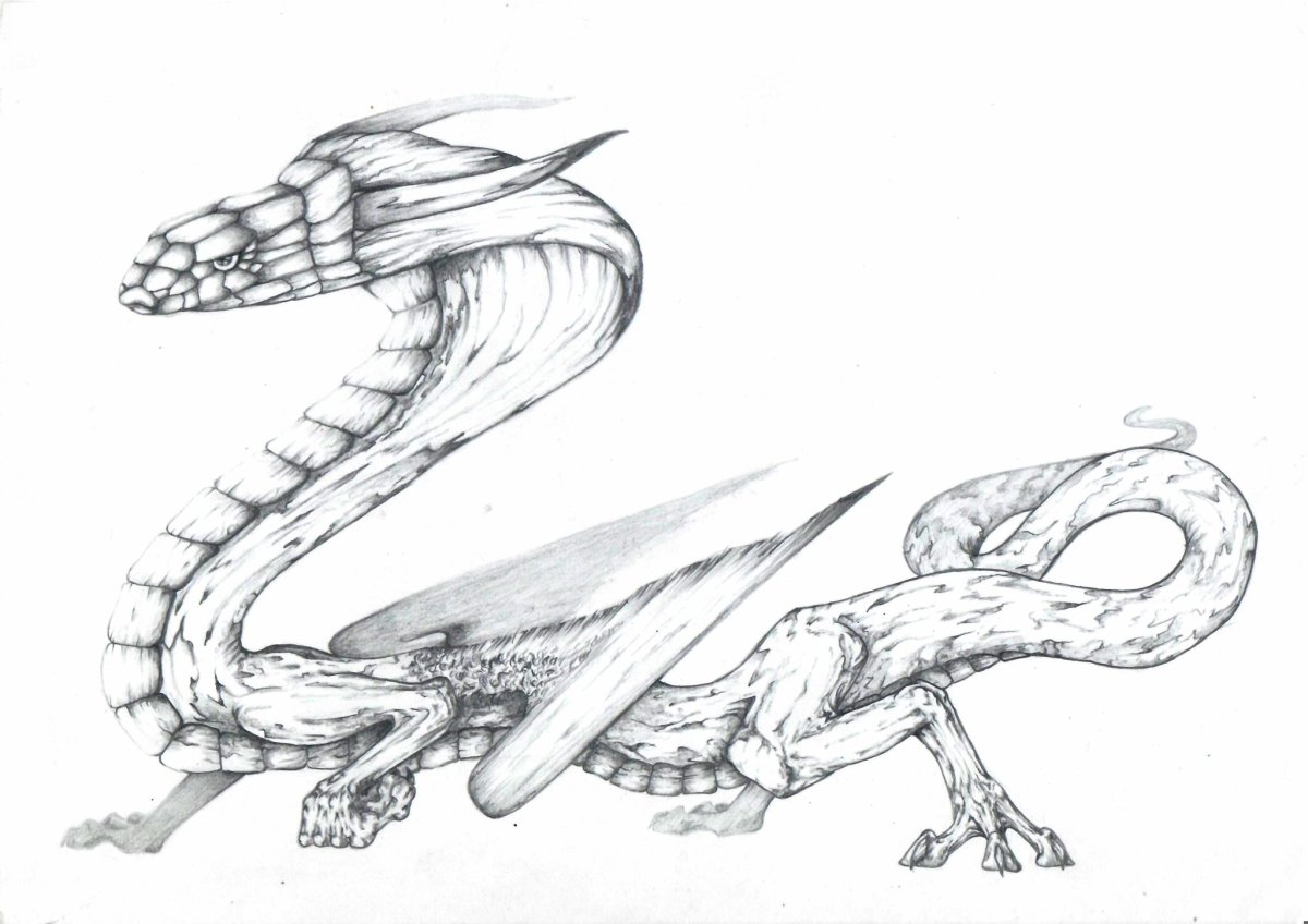 Змея контур