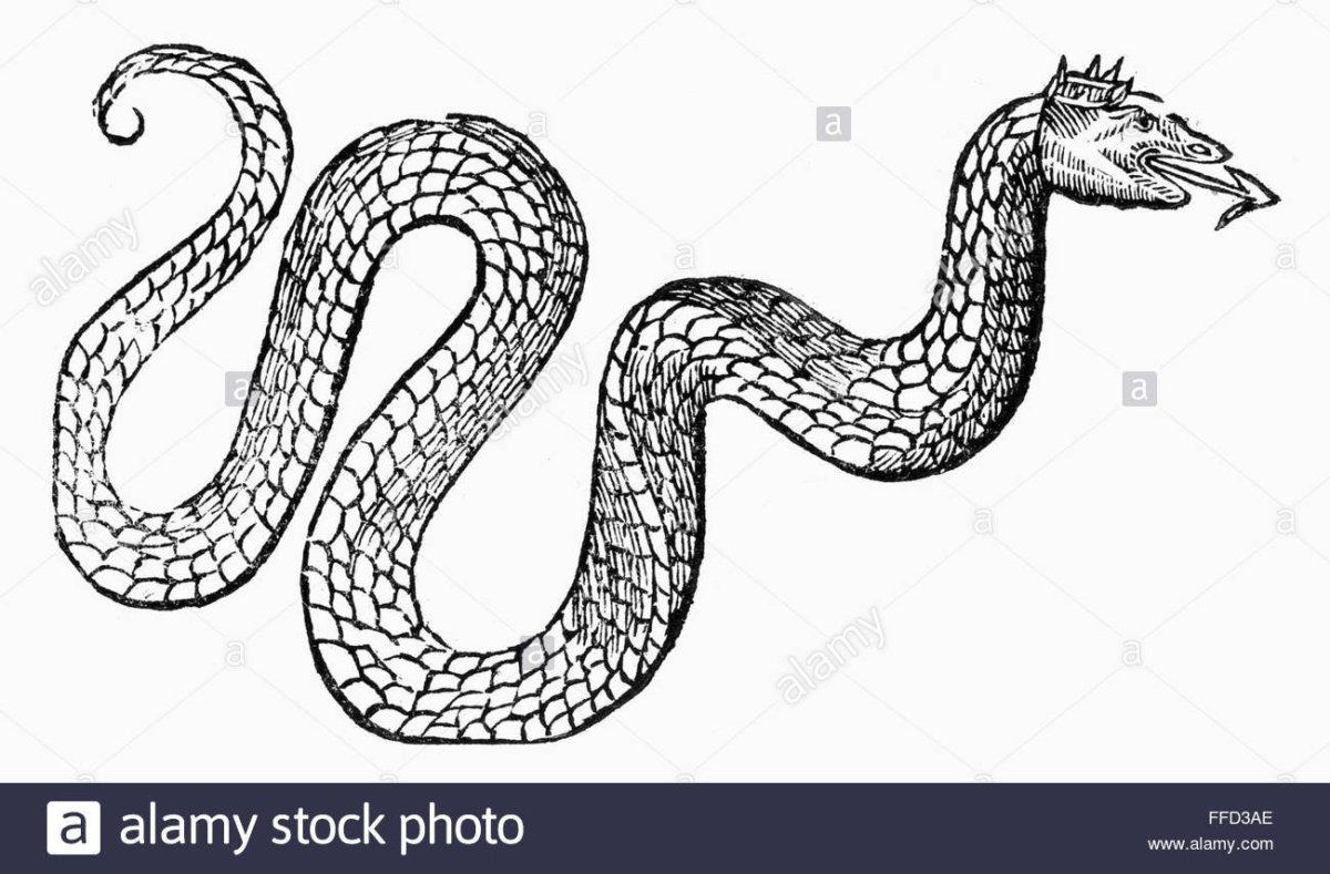 Змея рисунок