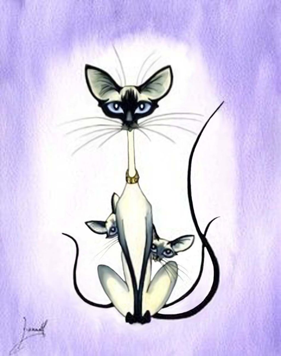 Сиамский кот раскраска