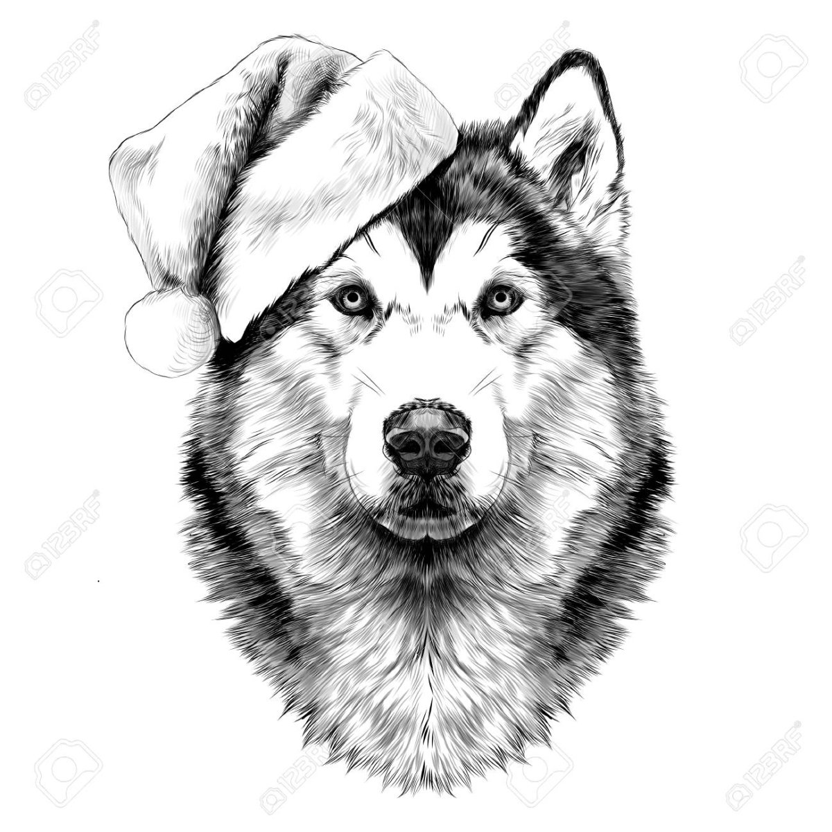 Тату Аляскинский маламут