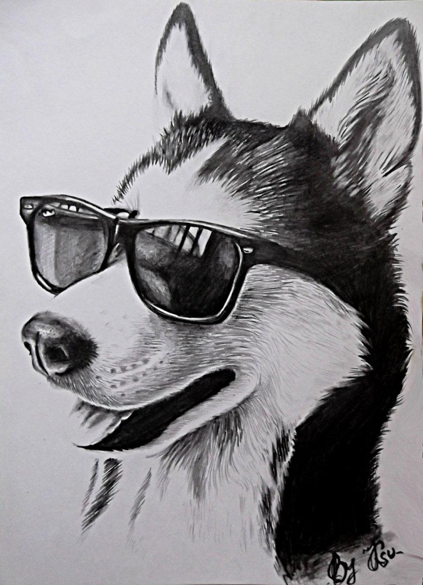 Хаски эскиз