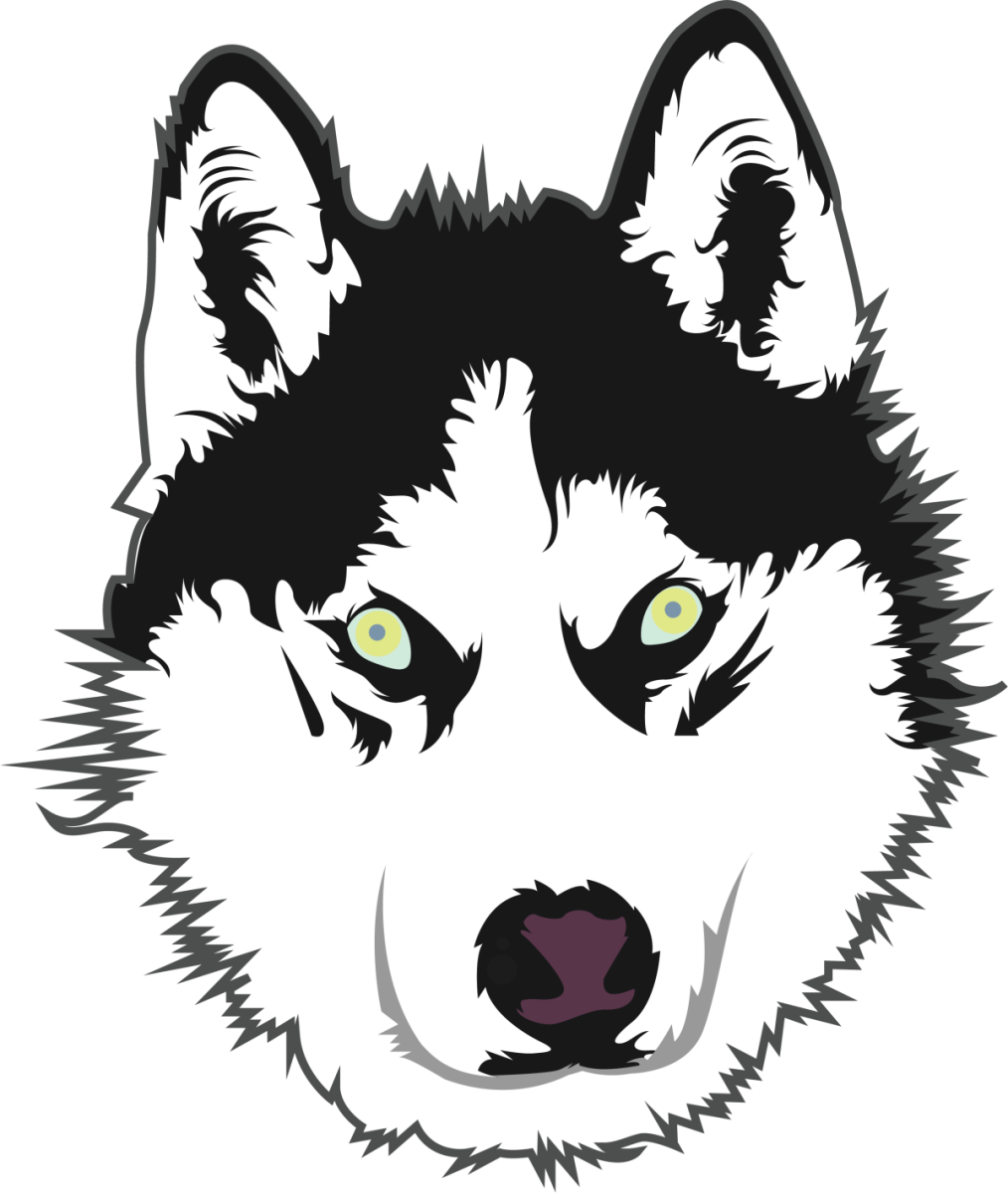 Хаски рисунок