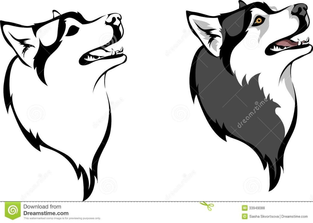 Рисунок головы лайки