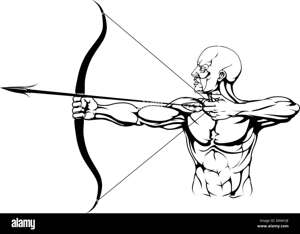 Референс лук и стрелы в руках