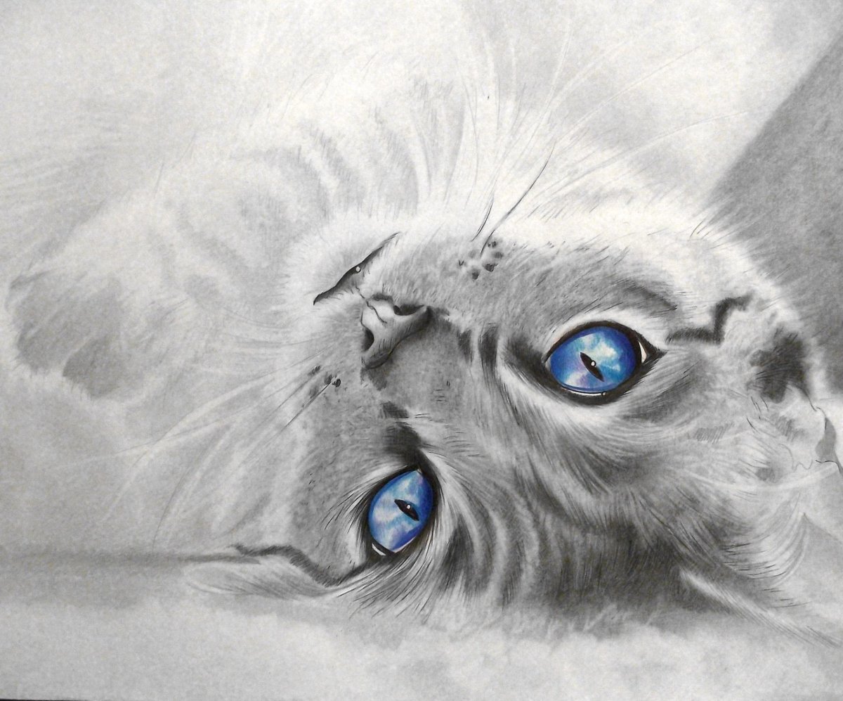 Самый простой рисунок в мире