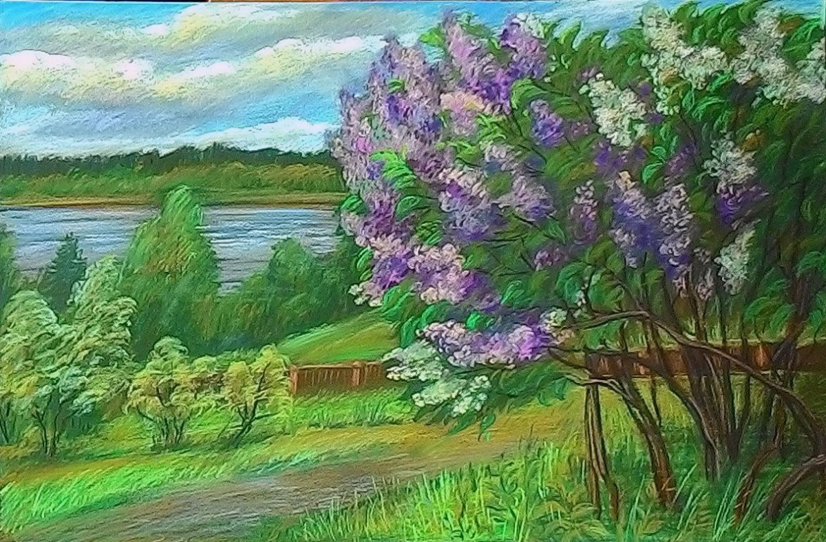 Сирень карандашом