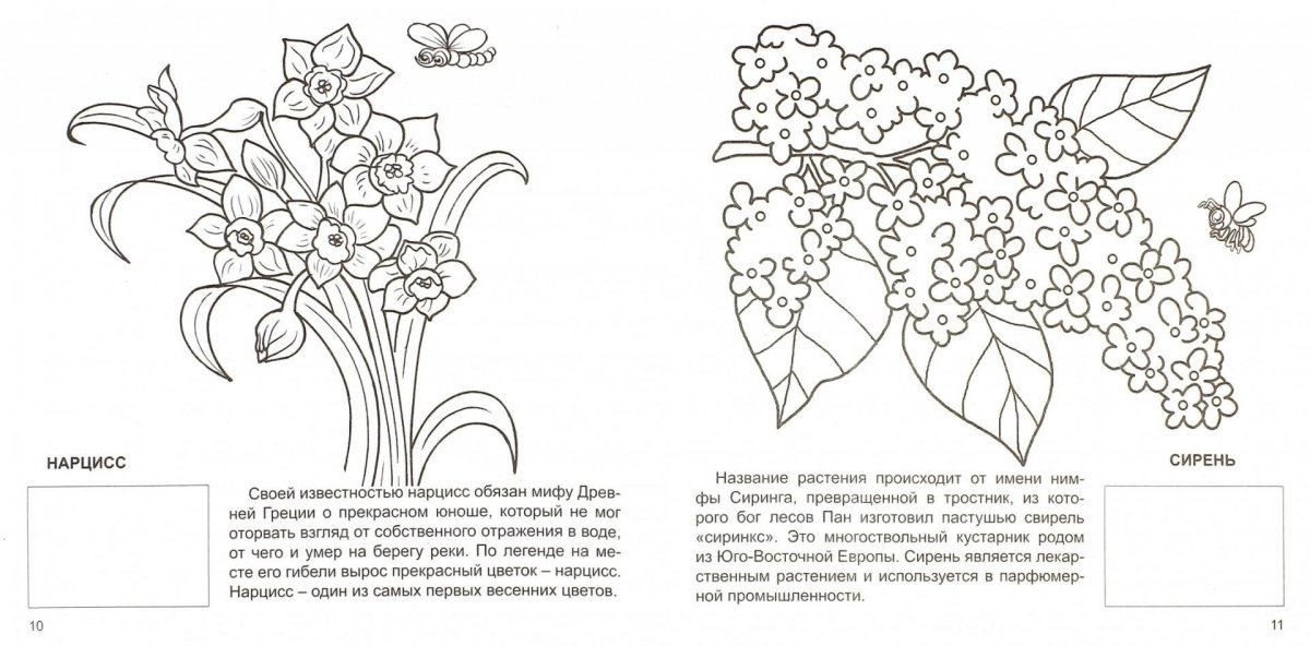 Живописец Gustave Baumann (1881-1971)