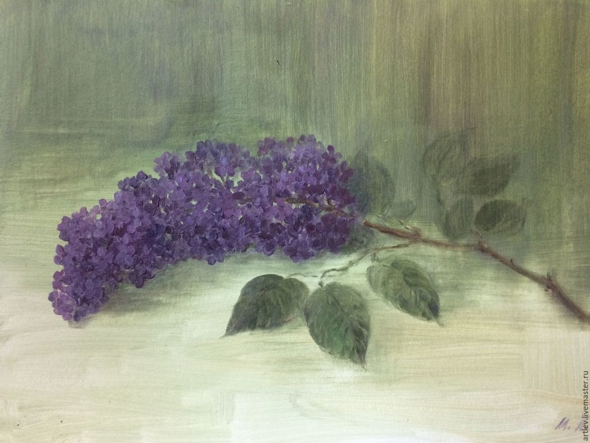 Сирень маслом Этюд Буйко