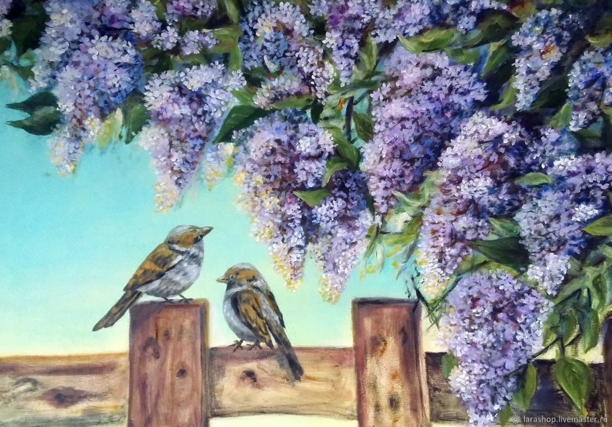 Сирень Агидель