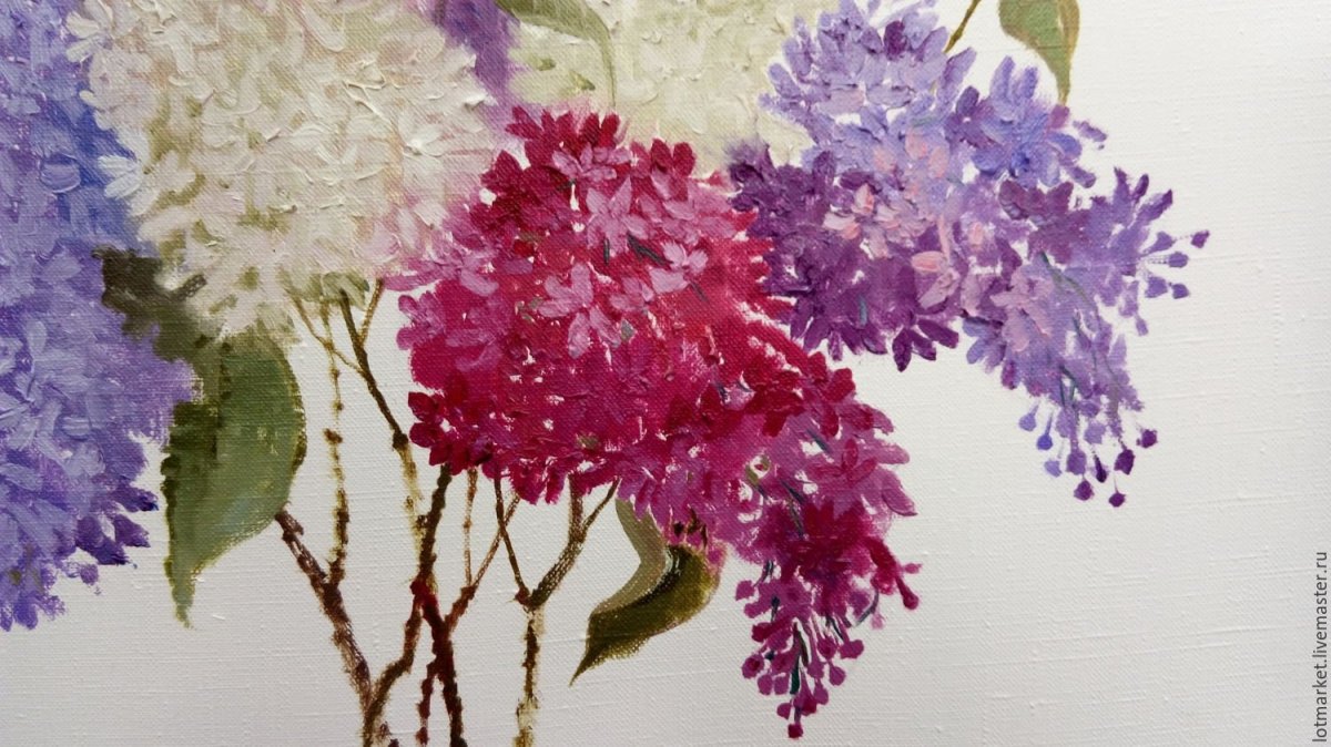 Цветок сирени вектор