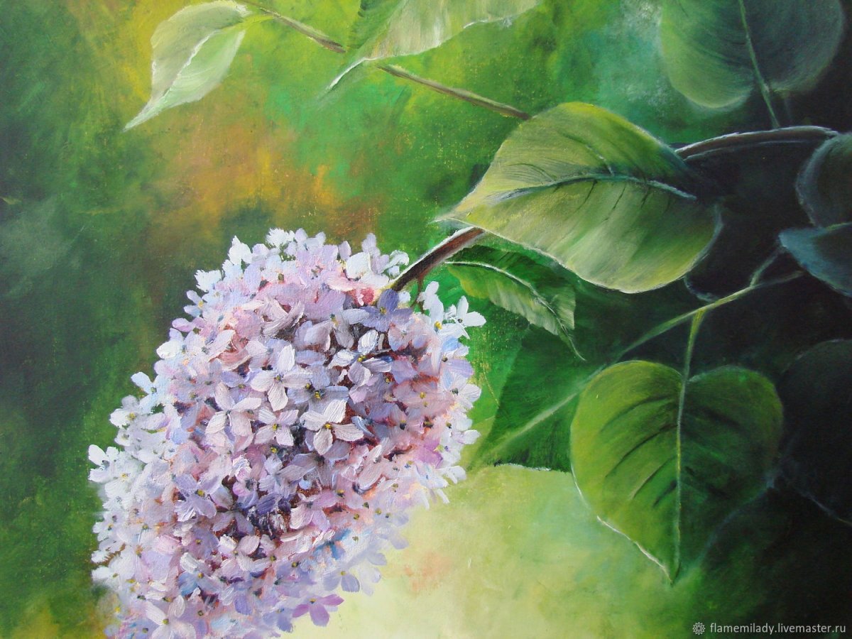 Жалдак Эдуард