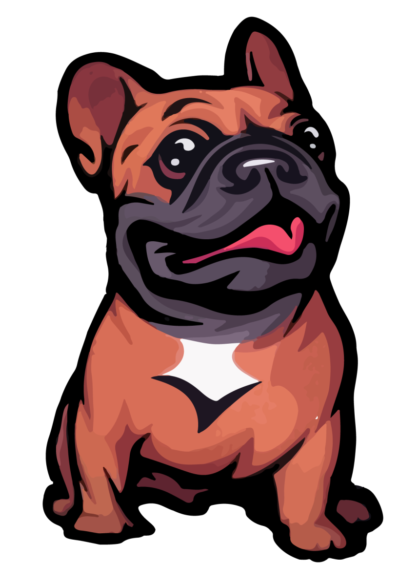 Бульдог Фрэнсис