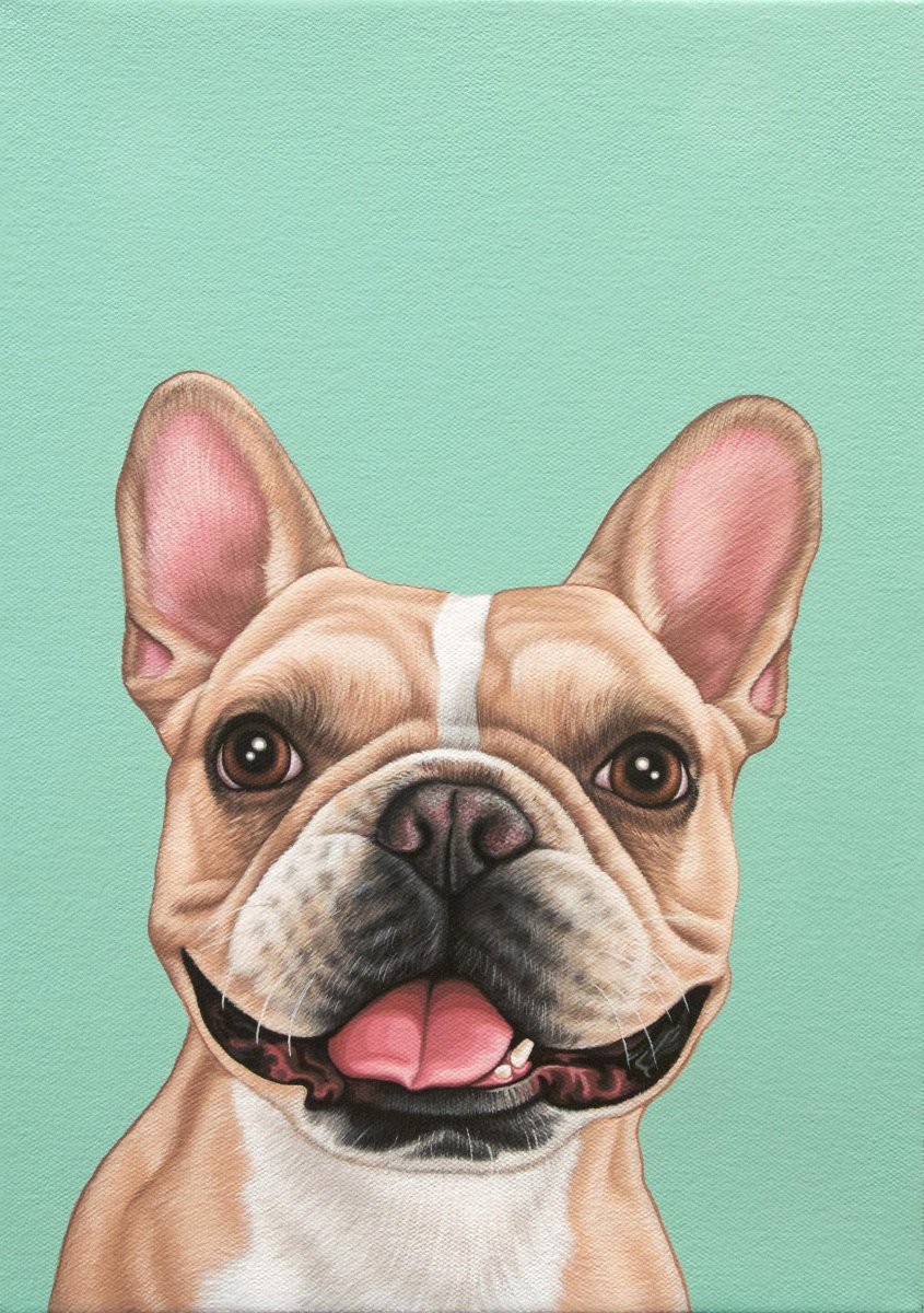 Французский бульдог мультяшный