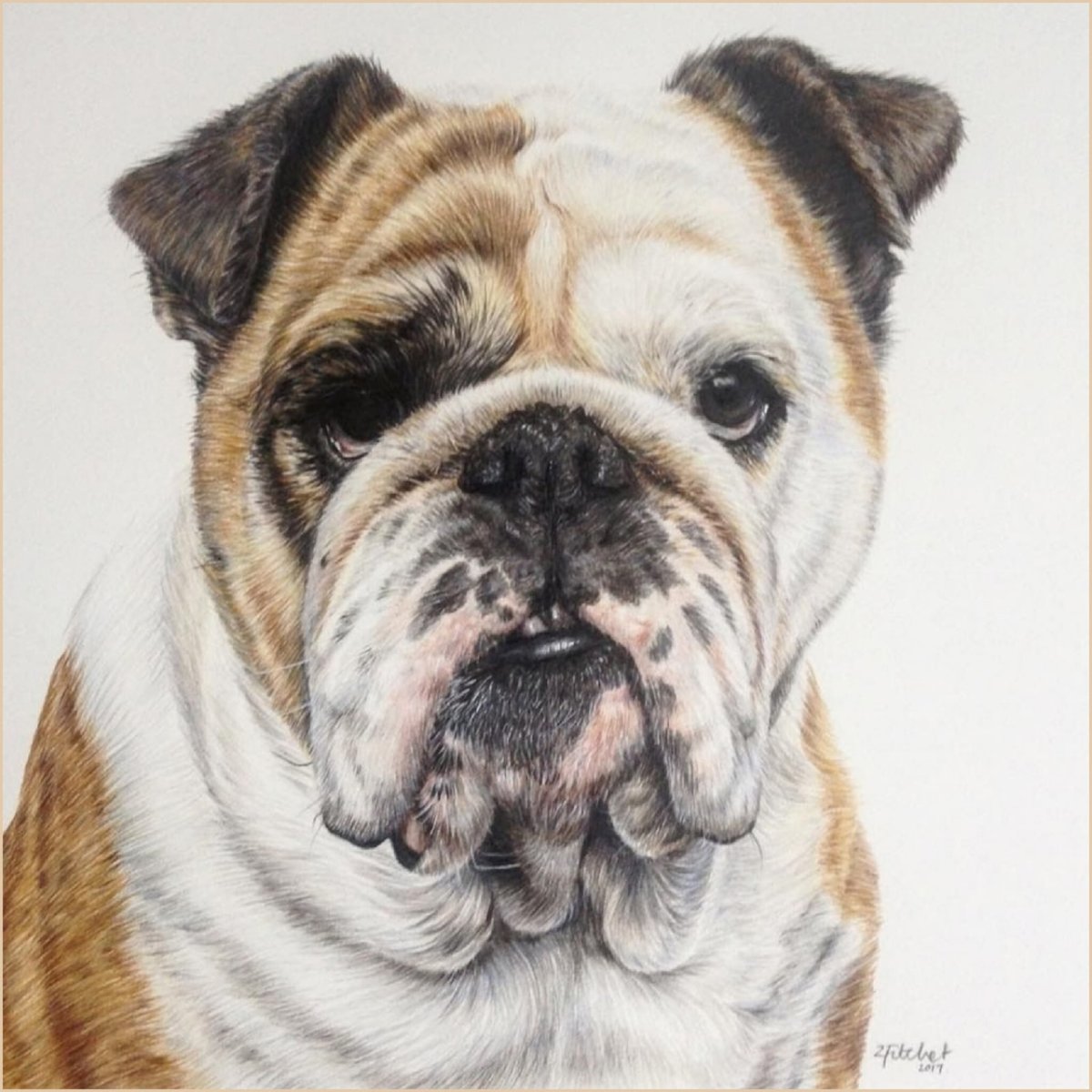 Бульдог логотип