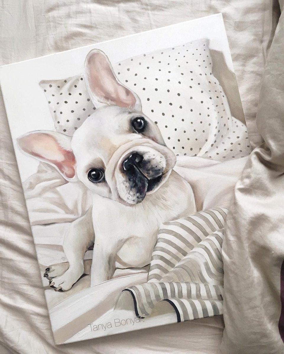 Картина по номерам французский бульдог