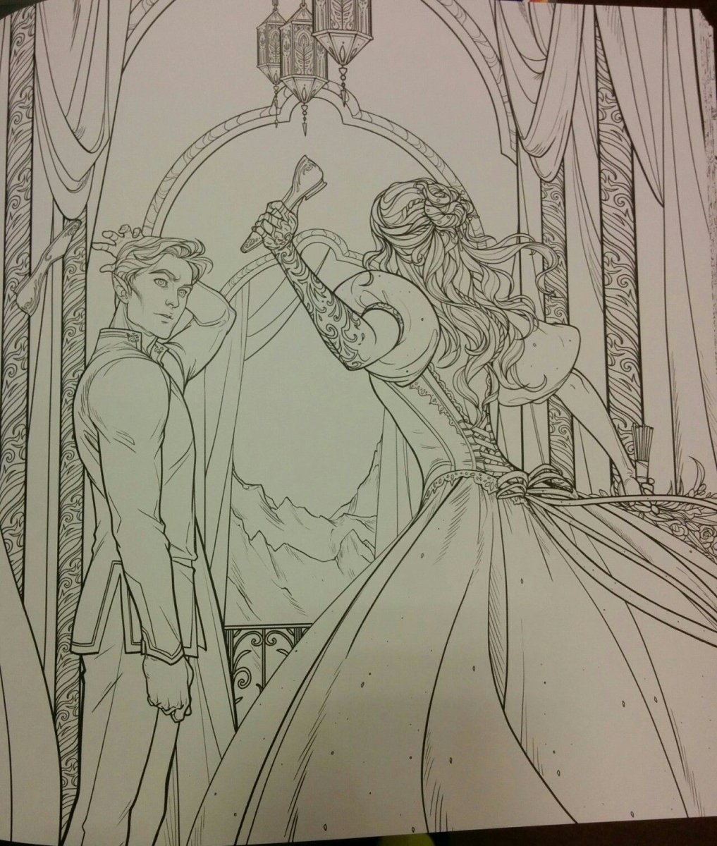 Королевство шипов и роз обложка