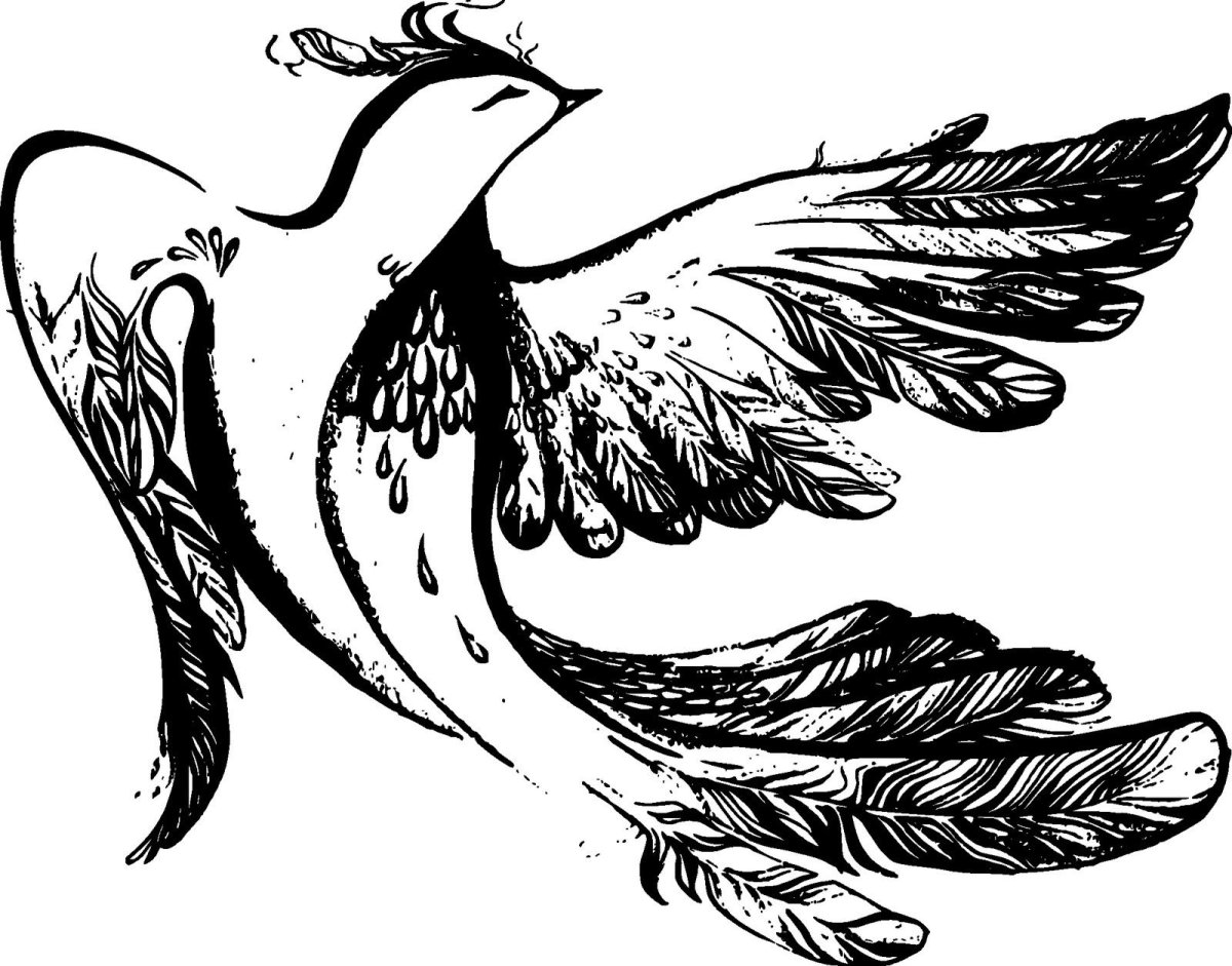 Алконост Сирин контур